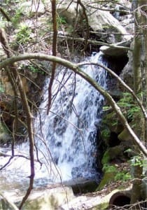 14 Waterfall L